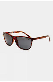 Coast P606 Polarised Sunglasses