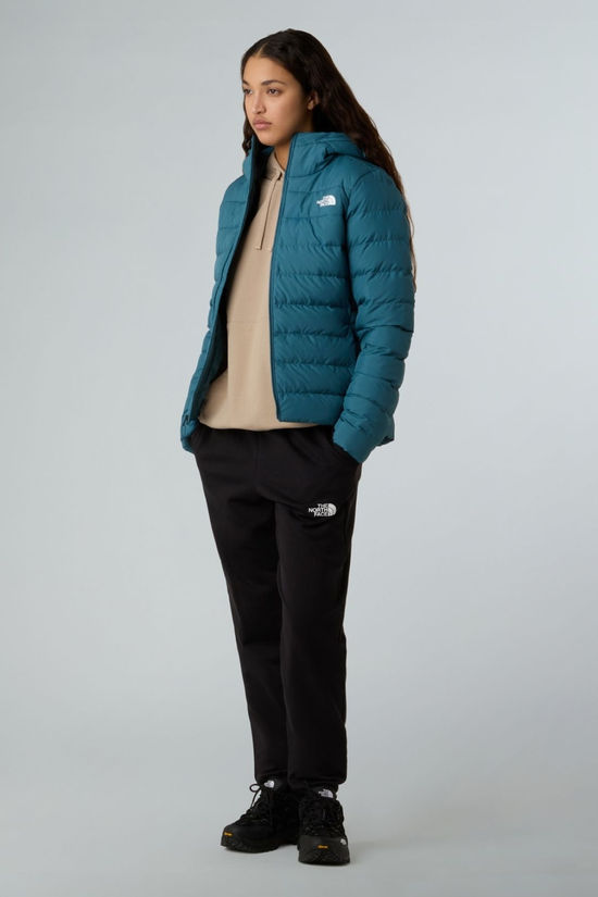 The North Face Womens Aconcagua III Hooded Jacket Space