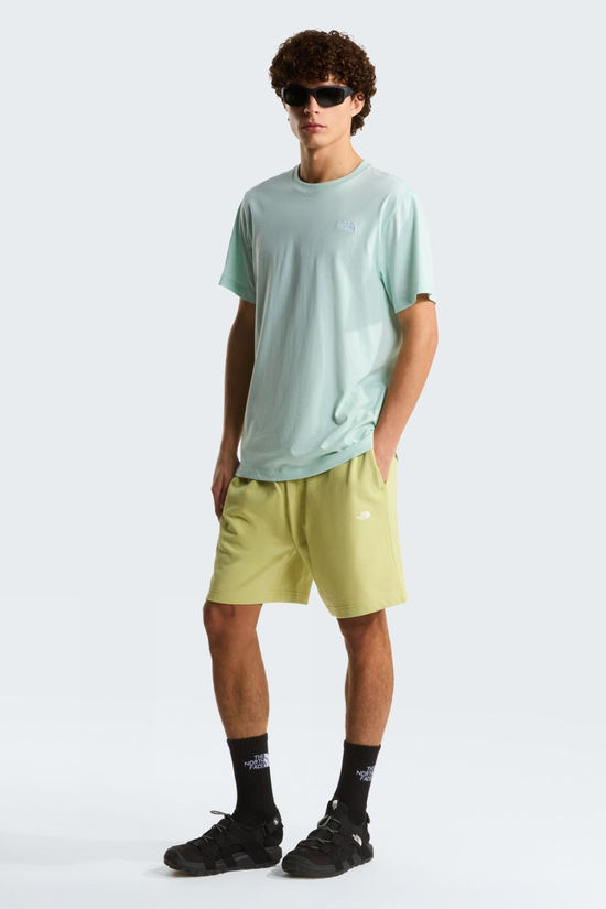 The North Face Mens Evolution Simple Dome Regular T-Shirt Steelbl/Grifn Gr