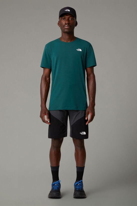 The North Face Mens Felik Slim Tapered Shorts Asphalt Grey-Tnf Black-Npf