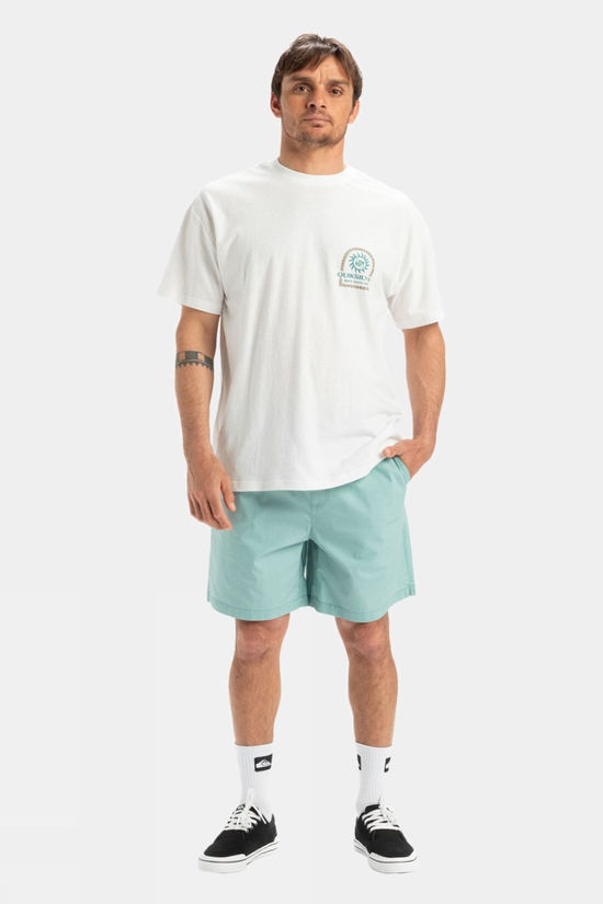 Quiksilver Mens Taxer Shorts Aquifer