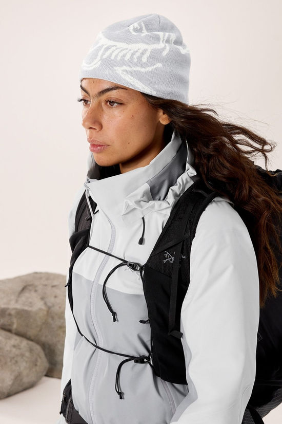 Arc'teryx Unisex Bird Head Toque Beanie Solitude / Arctic Silk