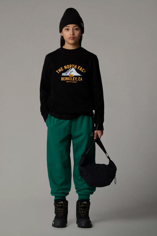 The North Face Teens Varsity Graphic Relaxed Sweatshirt 14+ Tnf Black