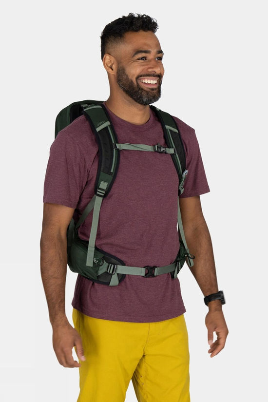 Osprey Mens Talon 22 Daypack Green Canopy/Pine Leaf