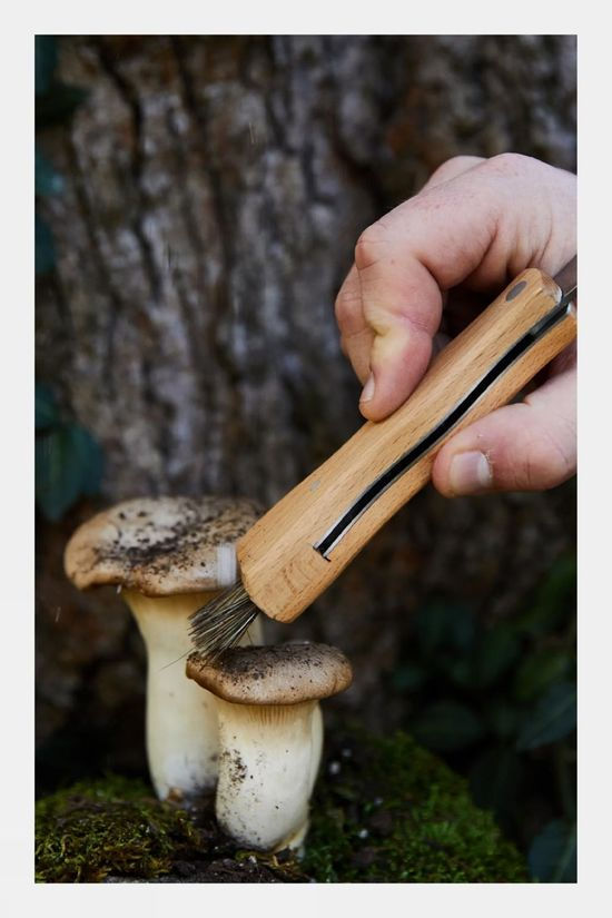 Gentlemen's Hardware Foraging Knife Brown
