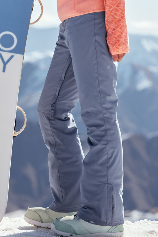 Roxy Womens Backyard Pt Ski Pants Wild Wind