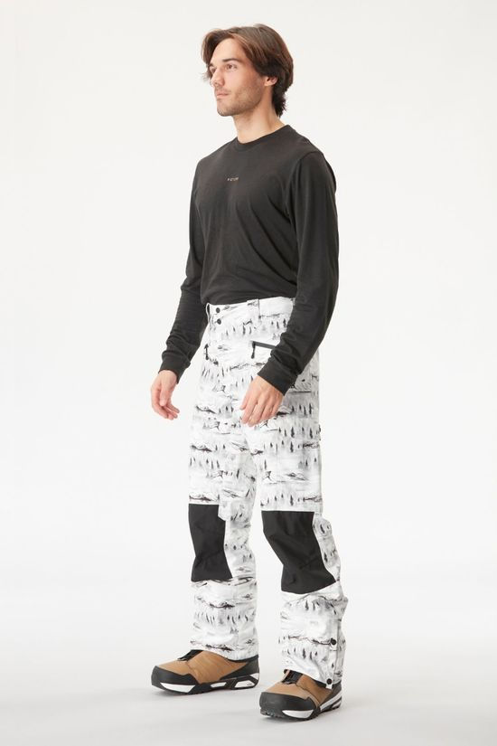 Picture Mens Plan Printed Ski Pants - Regular  Mood