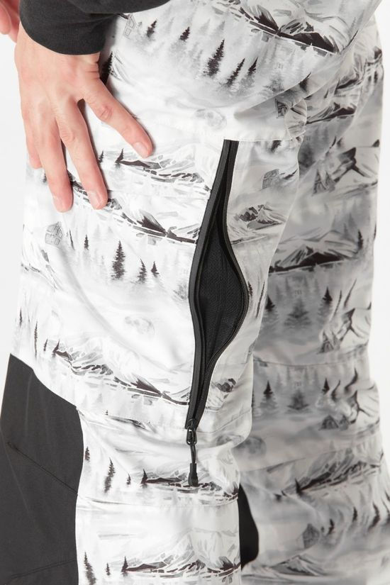 Picture Mens Plan Printed Ski Pants - Regular  Mood