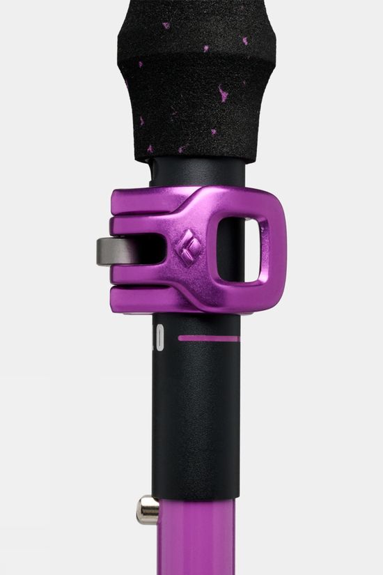 Black Diamond Expedition Ski Poles (Pair) Piton Purple