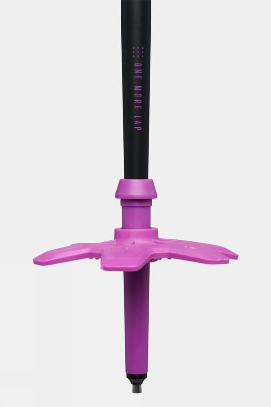 Black Diamond Expedition Ski Poles (Pair) Piton Purple
