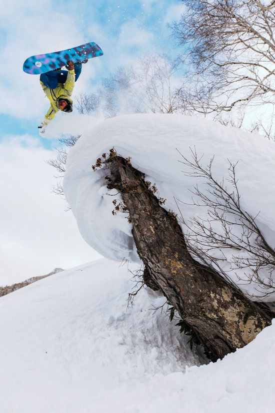 Burton Family Tree Sketch Artist Snowboard No Color