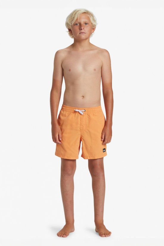 Quiksilver Kids Everyday Solid Volley Swim Shorts Tangerine