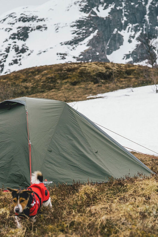 Robens Aster 2 Pro Tent Mid Green
