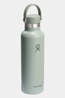 Hydro Flask 21oz Standard Mouth With Flex Cap Drinks Bottle Agave
