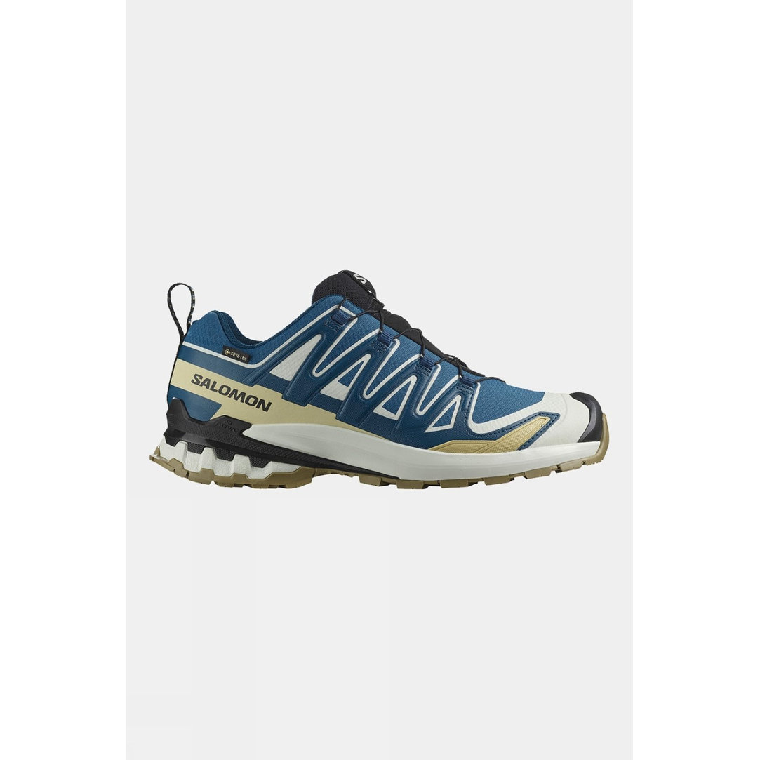 Mens XA Pro 3D V9 GTX Shoes