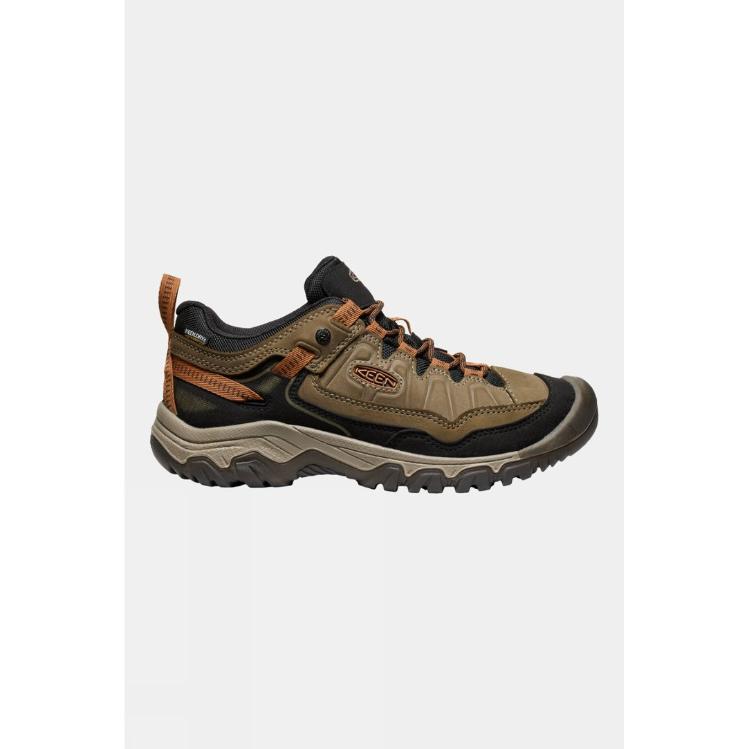 Mens Targhee IV Waterproof Shoes