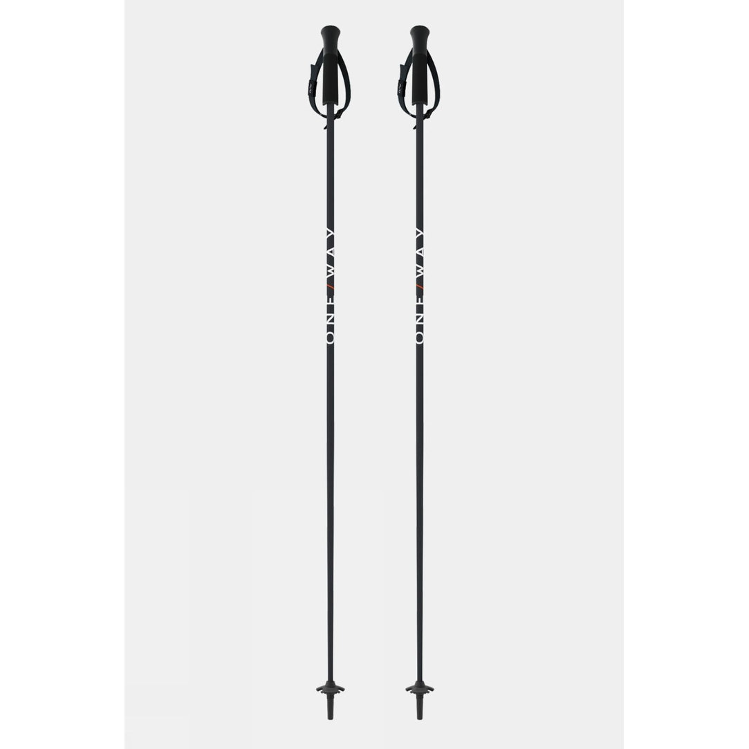 GTX 14 Asphalt Ski Poles (Pair)