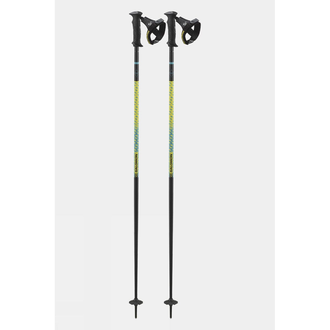 Polar Prime Ergo S3 Ski Poles (Pair)